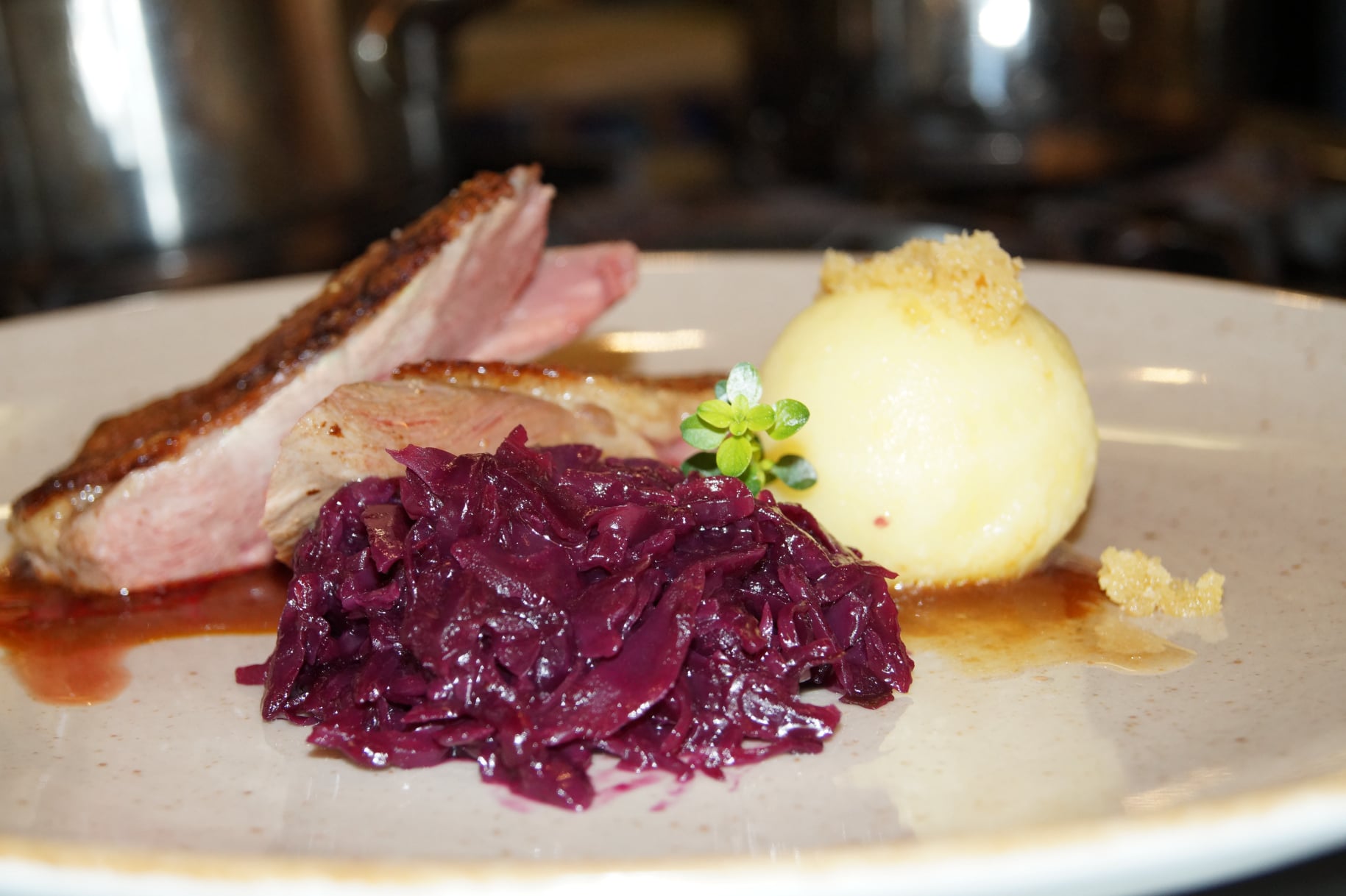 Wiesbacher-Hof Gänse marsch